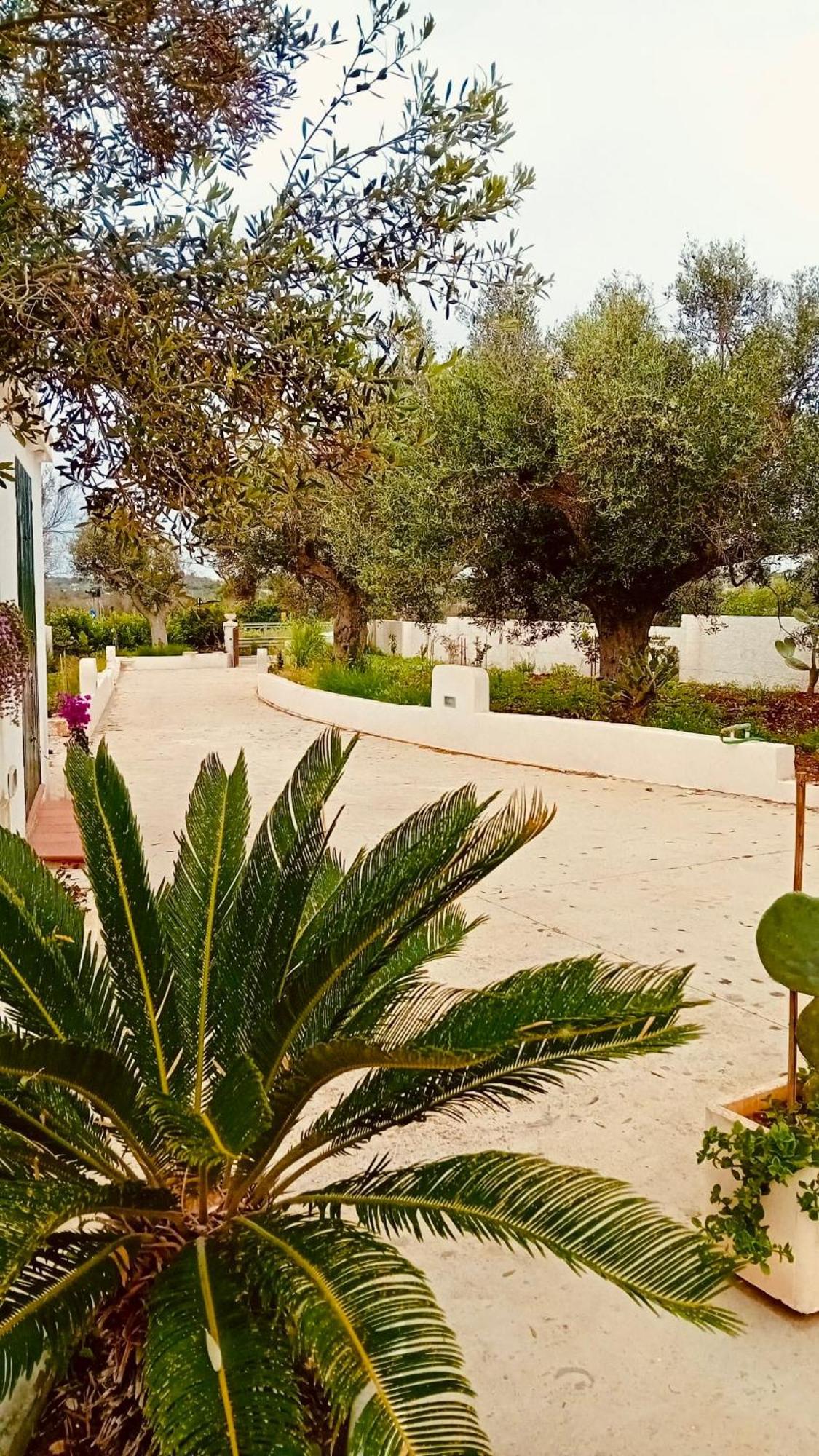 Casa La Manna By A&B Homes Leuca Santa Maria di Leuca Kültér fotó